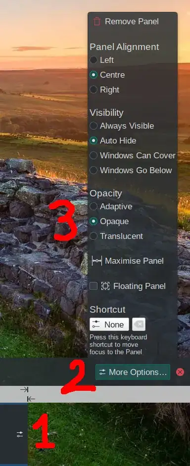 Screenshot of the panel editor