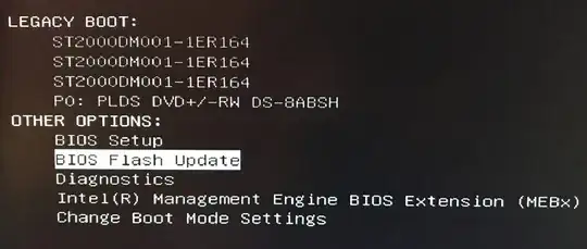Bios Flash Update
