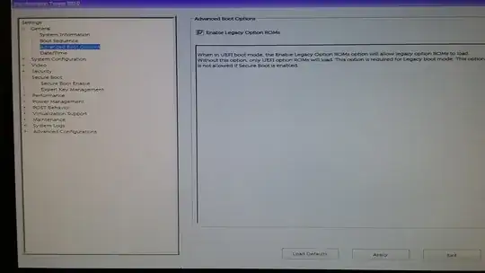 Image of computer screen showing legacy ROMs enabled