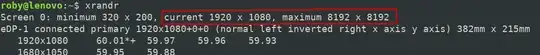 Result of xrandr command: current 1920 x 1080, maximum 8192 x 8192
