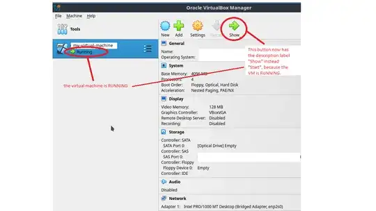 Oracle VirtualBox GUI with VM running