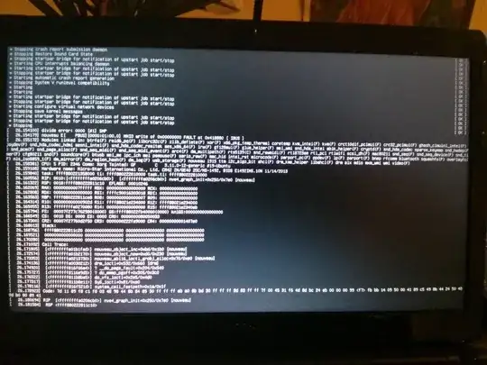 Screenshot of kernel panic