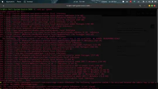Screenshot of the terminal