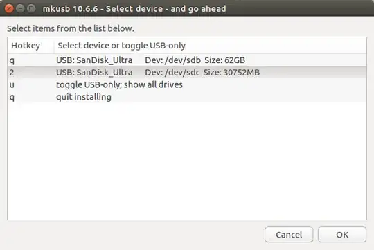 Click on the USB drive to make persistent