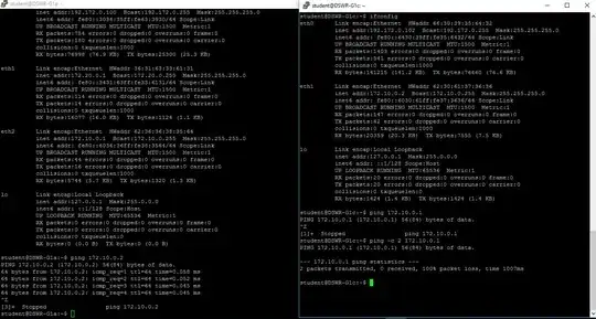 PING not working both ways