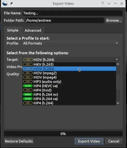 Export Video dialog showing target options for exporting