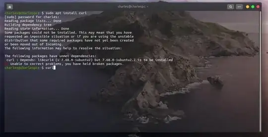 screenshot of my error