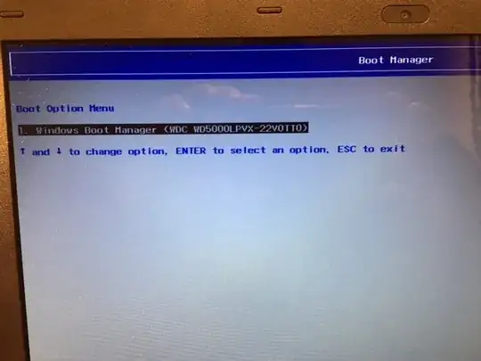 Boot Manager picture of