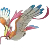 Mega Pidgeot