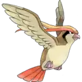 Pidgeot