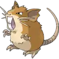 Raticate