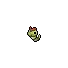 Caterpie