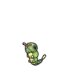Caterpie