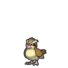 Pidgey