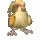 Pidgeot