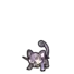 Rattata