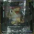 020 Raticate