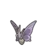 Venomoth