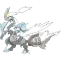 White Kyurem