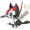 Pikipek