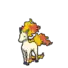 Rapidash