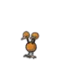 Doduo