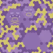 "Weezing loves the gases given off by rotted garbage. Weezing blends into a hexagonal shaped poisonous gas."