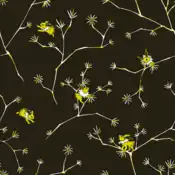 "Every hair on Jolteon's body starts to stand sharply on end if it becomes charged with electricity. You can see sparks of light that Jolteon gives off in the dark."