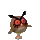 Hoothoot
