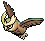 Noctowl