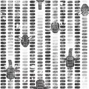 "Donphan has sharp, hard tusks and a rugged hide. A herd of marching Donphan is quite a site to see."