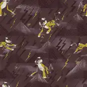 "Raikou is said to have fallen with lightning. Its regal form can be recognized through the darkened thunderclouds."