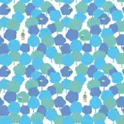 "Celebi has the ability to wander across time. It soars about the abundant vegetation and bright red fruits in this peaceful forest."