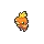 Torchic