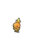 Torchic
