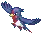 Swellow