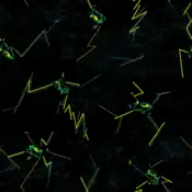 "Electrike enhances instantaneous power by stimulating muscles using electricity stored in body hair. The bright neon color seems to make a crackling sound like a spark."