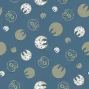 "Lunatone is related to the phases of the moon because it is active on the night of the full moon. The moon-like silhouette composed of geometric patterns is a very beautiful design."