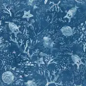 "Anorith is one of the ancestors of a Pokémon that has been revived from fossils. It's strange to see Kabuto and Omanyte, also regenerated from fossils, swimming around the sea."