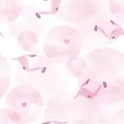 "Gorebyss has a pink-colored body that turns brightly in spring. It seems that the tools necessary for the evolution of Clamperl are confused in the bright pink."