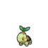 Turtwig