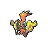 Tapu Koko