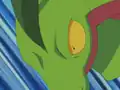 Grovyle's erroneous fang