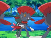 Duels of the Jungle!