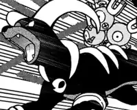 Aether Foundation's Houndoom