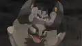 An Alolan Golem preparing to fire an Alolan Geodude