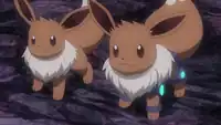 Alternate World Chloe's Eevee