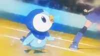 Alternate World Dawn's Piplup