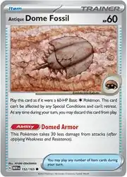 Antique Dome Fossil from 151