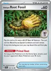 Antique Root Fossil from Stellar Crown